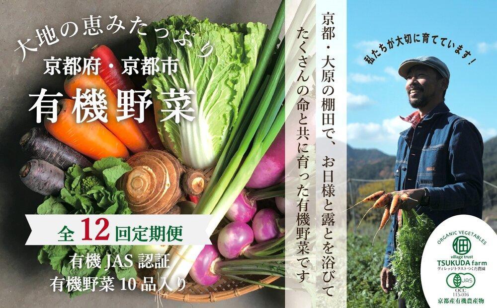 ◆全12回定期便◆【つくだ農園】《有機JAS認証&nbsp;有機野菜10品入り》京都の棚田大原で心を込めて大切に露地栽培された大地の恵みたっぷりの有機野菜!［&nbsp;有機野菜&nbsp;京都&nbsp;野菜&nbsp;有機栽培&nbsp;定期便&nbsp;セット&nbsp;季節の野菜&nbsp;おまかせ&nbsp;詰め合わせ&nbsp;産地直送&nbsp;新鮮&nbsp;ミシュラン&nbsp;錦市場&nbsp;人気&nbsp;送料無料&nbsp;おすすめ&nbsp;ふるさと納税&nbsp;］