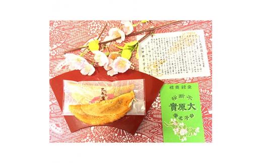 不断桜大原實&nbsp;20個入