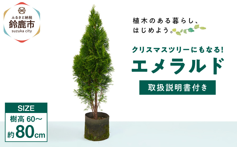 クリスマスツリーにもなる♪エメラルド　樹高約70cm～90cm　取扱説明書付き