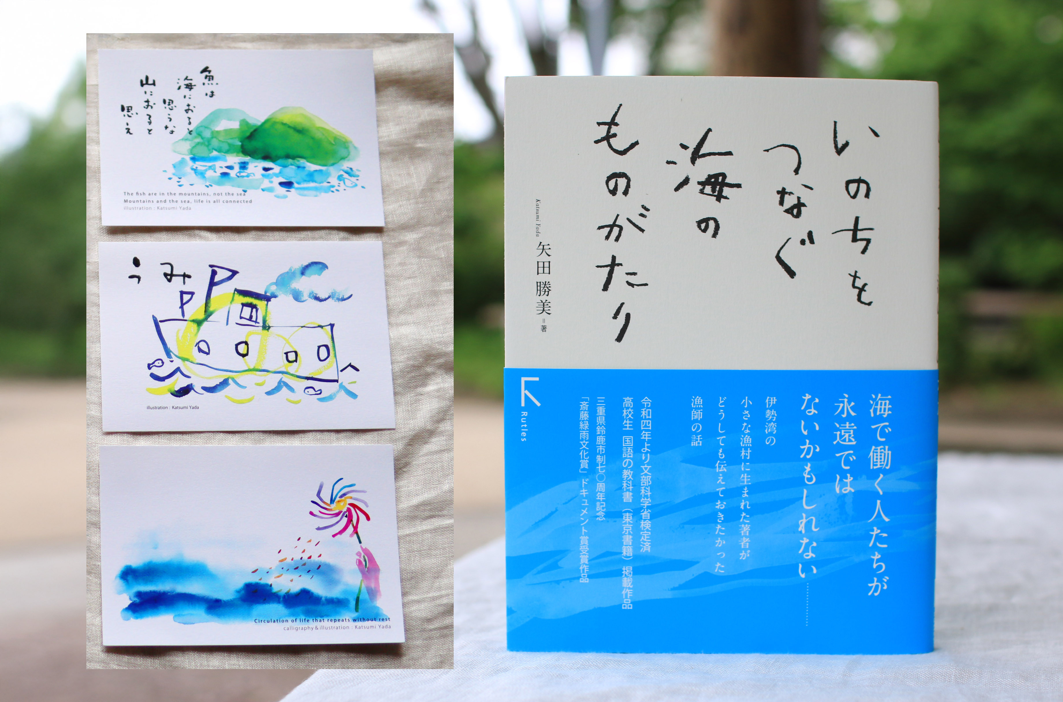 教科書掲載「いのちをつなぐ海のものがたり」と、美しいポストカード3枚セット♪