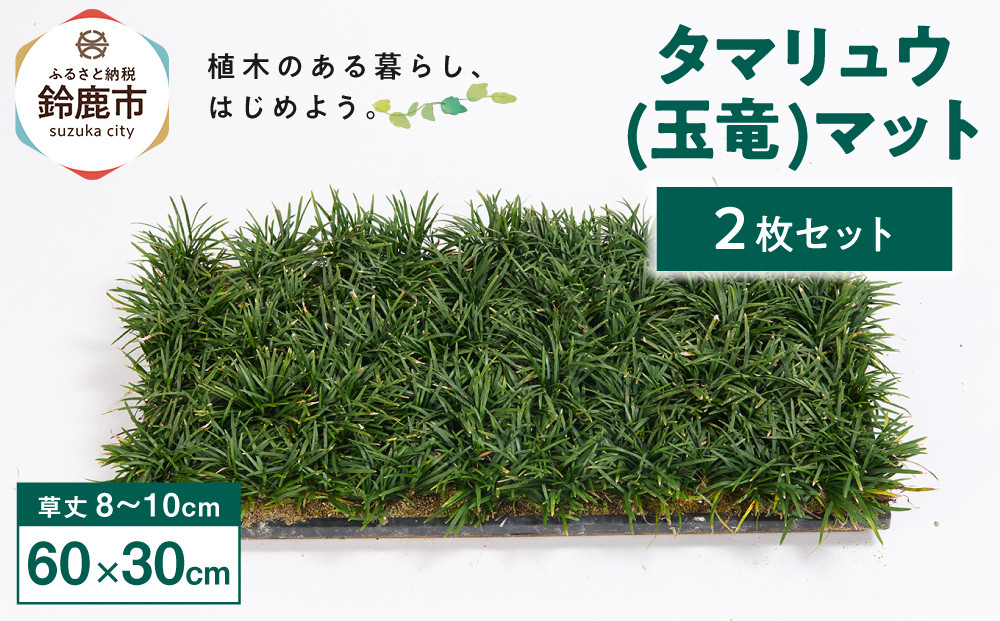 タマリュウ(玉竜)マット　2枚セット(60cm×30cm)