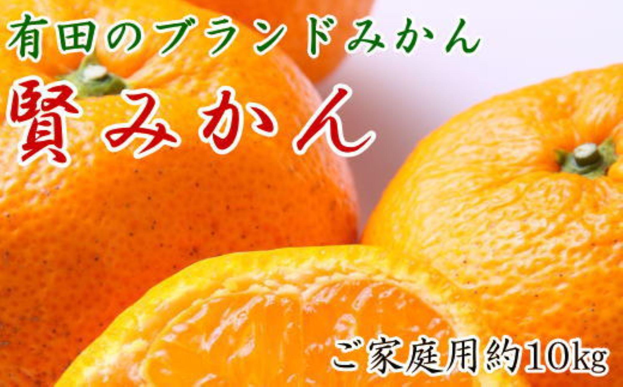 有田のブランド「賢みかん」約10kg&nbsp;サイズ混合&nbsp;ご家庭用［2026年11月中旬頃より順次発送］