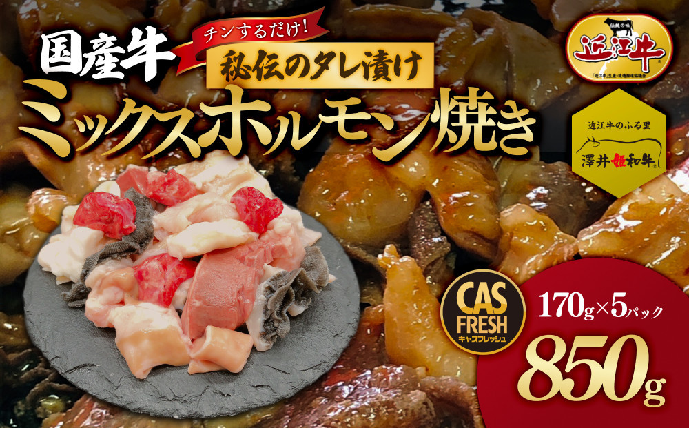 ＜チンするだけ！＞【秘伝のタレ漬け】国産牛ミックスホルモン焼き850ｇ（170ｇ×5パック）［鮮度を保つCAS冷凍］【&nbsp;大阪府&nbsp;門真市&nbsp;】