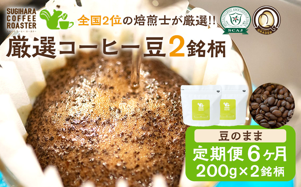 【コーヒー豆定期便】珈琲豆&nbsp;200g×2銘柄&nbsp;6ヶ月（豆のまま）