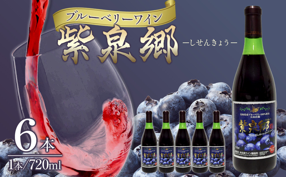 酒&nbsp;ワイン&nbsp;ブルーベリーワイン&nbsp;紫泉郷（しせんきょう）&nbsp;6本&nbsp;（&nbsp;720ml&nbsp;×&nbsp;6&nbsp;)【ブルーベリー&nbsp;パープル&nbsp;セット&nbsp;酒&nbsp;お酒&nbsp;晩酌&nbsp;人気&nbsp;おすすめ&nbsp;鳥取県&nbsp;琴浦町&nbsp;送料無料】