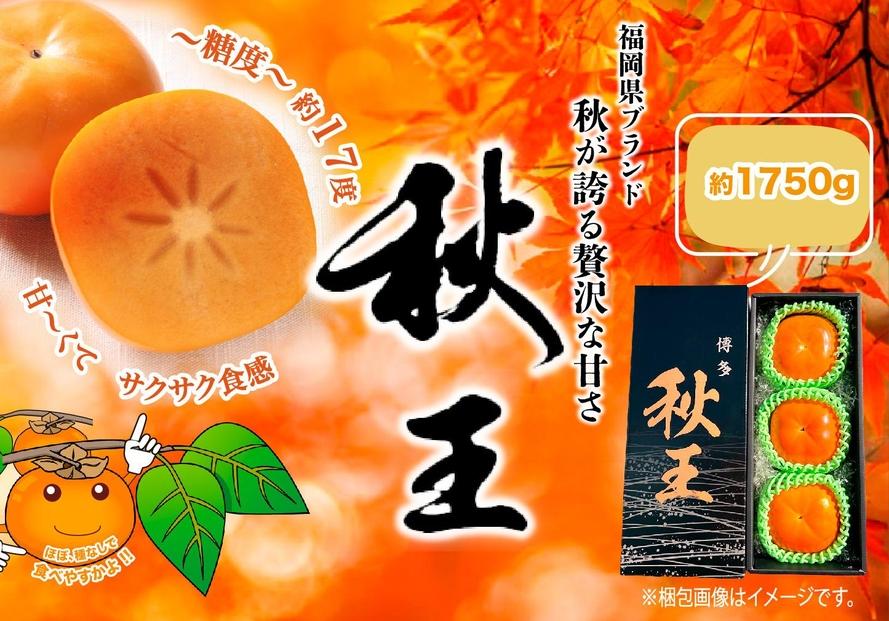＜2026年発送分・先行予約＞秋王　約1750g