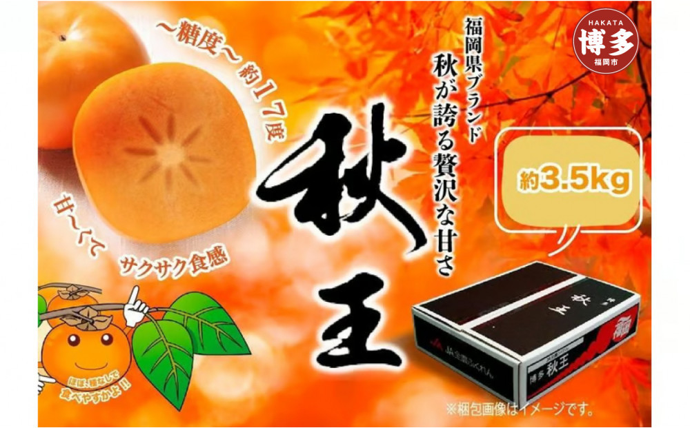 ＜2026年発送分・先行予約＞秋王　約3,5kg&nbsp;　