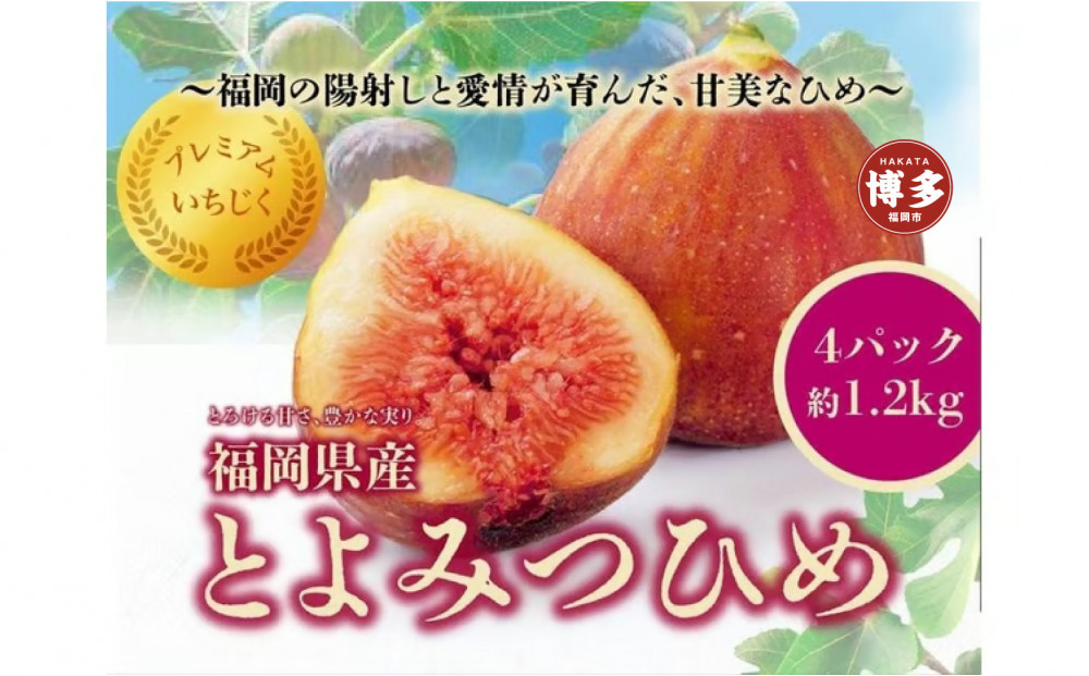 ＜2026年8月以降発送＞とよみつひめ　４パック約1200gセット（福岡市）