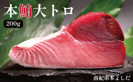 南紀串本よしだ 本鮪 大トロ サク 200g
