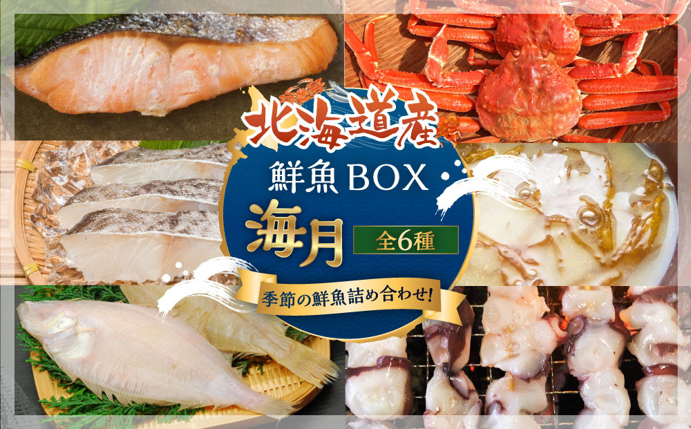 カネオ成栄丸のおまかせお魚BOX&nbsp;海月(6種）