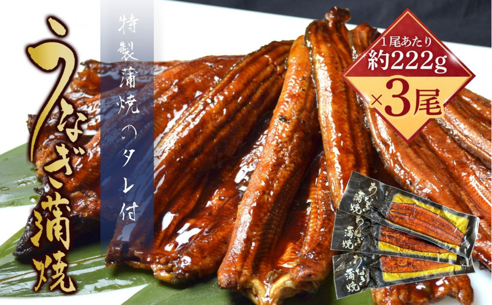 うなぎ蒲焼（中国産鰻&nbsp;222g×3尾）