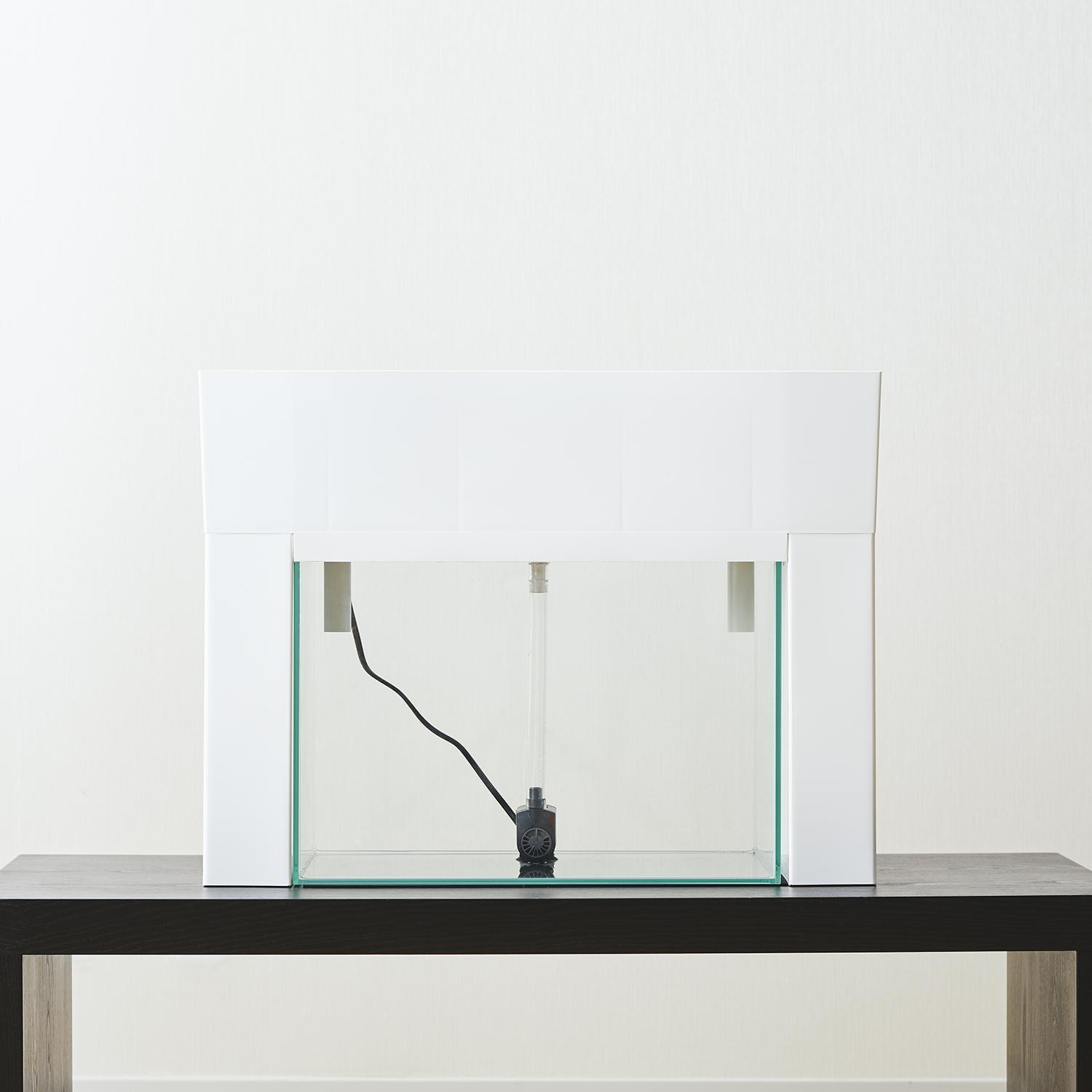 おさかな畑&nbsp;アクアスプラウトSV&nbsp;【ホワイト】&nbsp;アクアポニックス&nbsp;水耕栽培&nbsp;キット（50HZ）