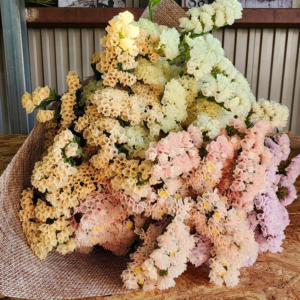 生花《スターチス》花職人Ikeda（ふるさと納税返礼品仕様&nbsp;ニュアンスカラーｍix）