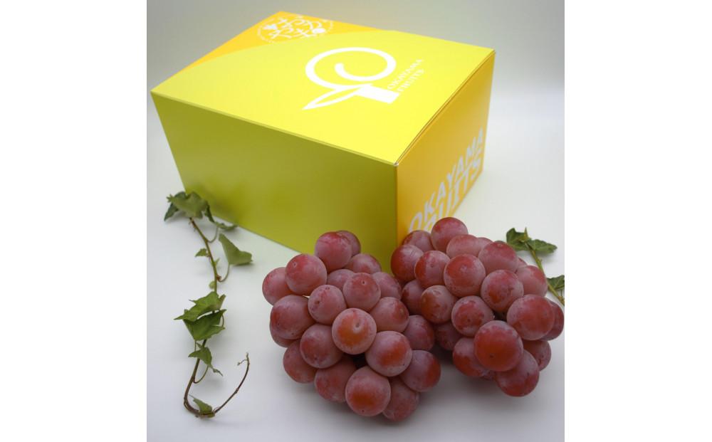 ぶどう&nbsp;2026年　ご家庭用　岡山県産クインニーナ1.2kg（2～3房）