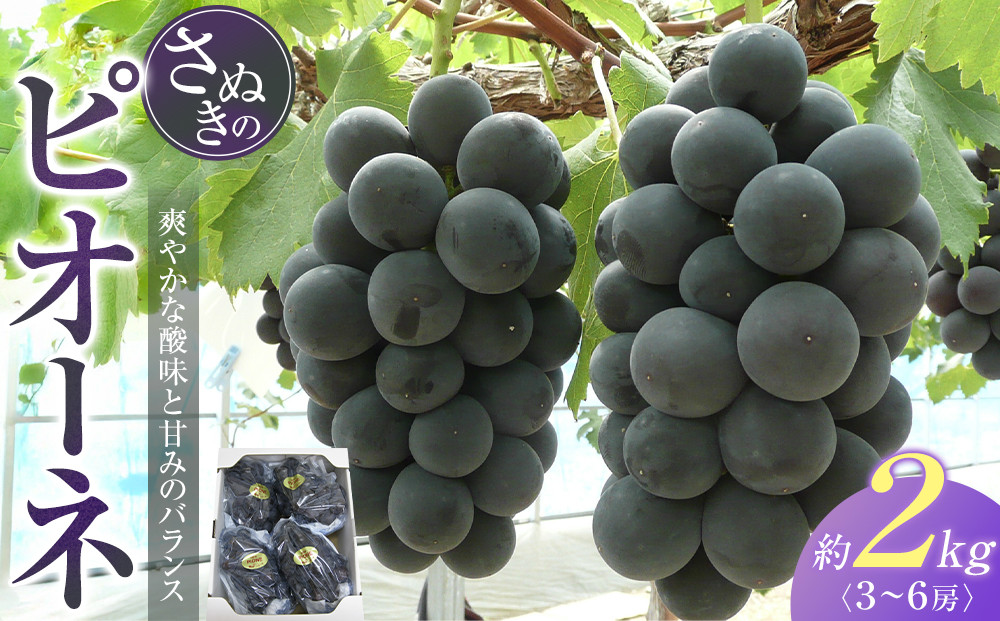 ピオーネ&nbsp;ぶどう&nbsp;葡萄&nbsp;約2kg