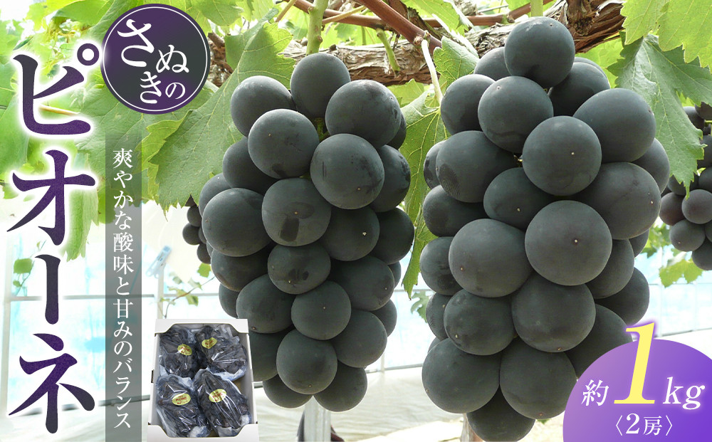 ピオーネ&nbsp;ぶどう&nbsp;葡萄&nbsp;約1kg&nbsp;(2房)