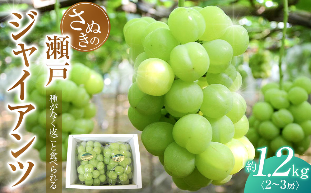 瀬戸ジャイアンツ&nbsp;約1.2kg&nbsp;(2～3房)&nbsp;&nbsp;葡萄&nbsp;ぶどう&nbsp;果物&nbsp;フルーツ&nbsp;人気&nbsp;数量限定&nbsp;ギフト&nbsp;贈答