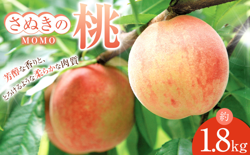 【6月中旬頃～発送】桃&nbsp;もも&nbsp;白桃&nbsp;約1.8kg