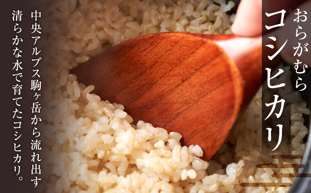 コシヒカリ ポイント5倍 コシヒカリ 15kg 玄米 5kg×3赤袋 送料無料 奥