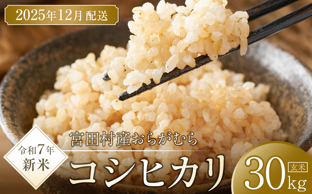 【予約受付】【令和７年米】【新米】長野県宮田村産コシヒカリ／玄米／30kg・69,000円／12月配送