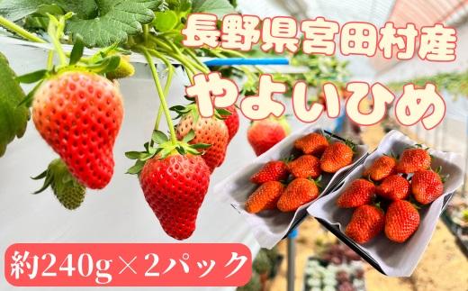 宮田村産　ウエストファームのいちご　やよいひめ　約240g×2パック（&nbsp;果物&nbsp;フルーツ&nbsp;上伊那&nbsp;長野&nbsp;信州&nbsp;産地直送&nbsp;&nbsp;新鮮&nbsp;甘い&nbsp;甘酸っぱい&nbsp;お取り寄せ&nbsp;人気&nbsp;ギフト&nbsp;贈答&nbsp;お祝い&nbsp;プレゼント&nbsp;スイーツ&nbsp;デザート&nbsp;ビタミンC&nbsp;限定&nbsp;国産&nbsp;日本産&nbsp;）