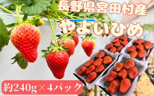 宮田村産　ウエストファームのいちご　やよいひめ　約240g×4パック（&nbsp;果物&nbsp;フルーツ&nbsp;上伊那&nbsp;長野&nbsp;信州&nbsp;産地直送&nbsp;&nbsp;新鮮&nbsp;甘い&nbsp;甘酸っぱい&nbsp;お取り寄せ&nbsp;人気&nbsp;ギフト&nbsp;贈答&nbsp;お祝い&nbsp;プレゼント&nbsp;スイーツ&nbsp;デザート&nbsp;ビタミンC&nbsp;限定&nbsp;国産&nbsp;日本産&nbsp;）