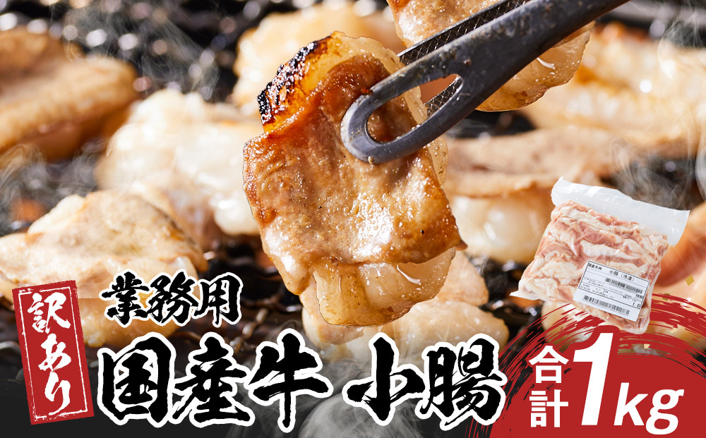 《業務用・訳アリ》国産牛　小腸　1kg