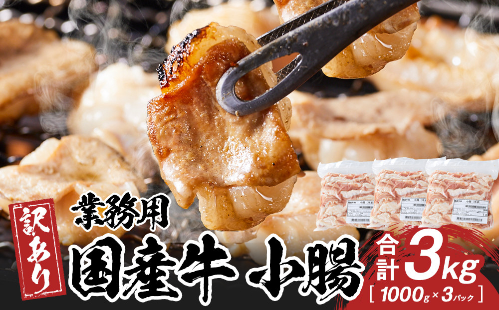 《業務用・訳アリ》国産牛　小腸　3kg