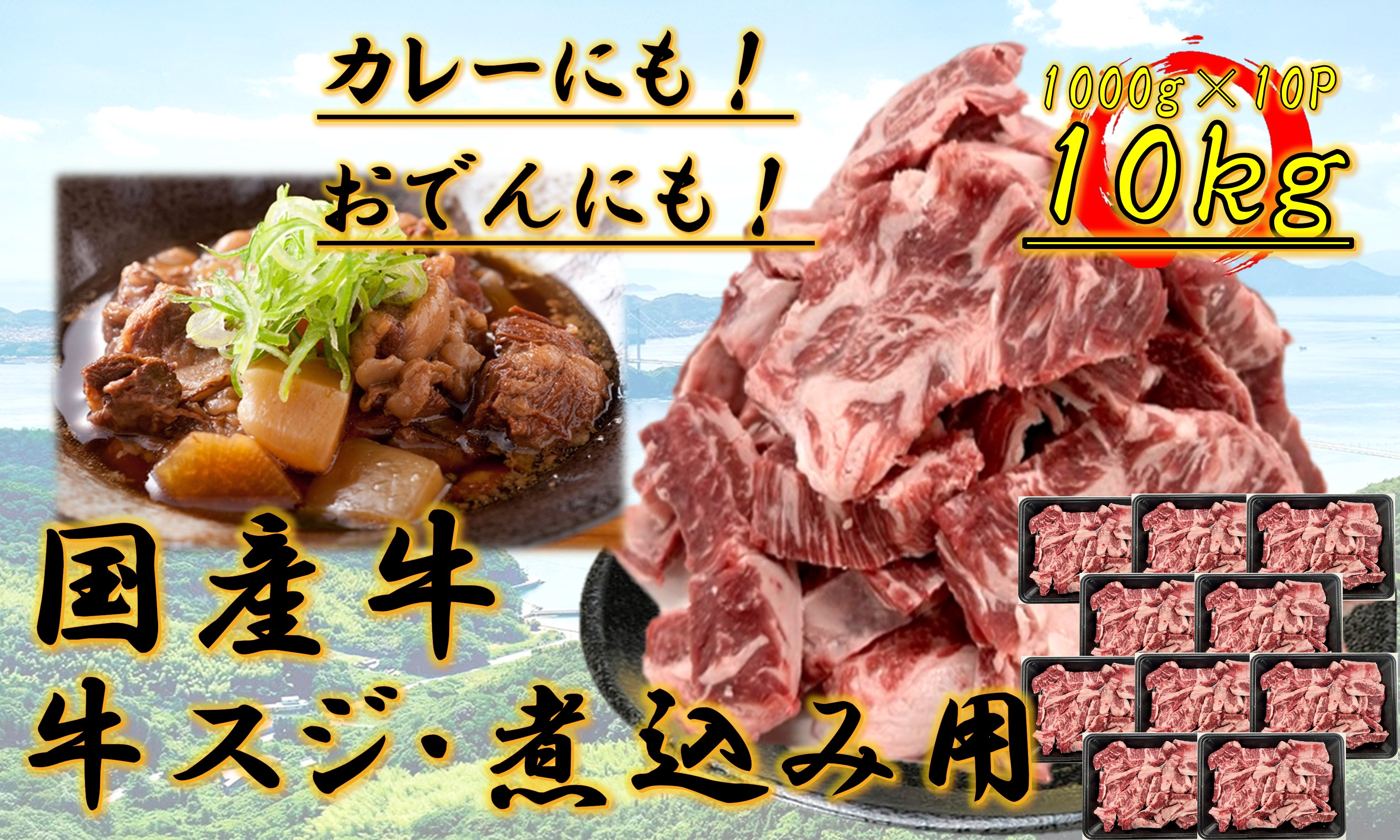 国産牛　スジ　10kg