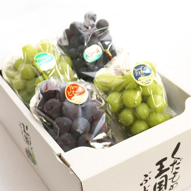 2026年&nbsp;くぼ農園&nbsp;ぶどう&nbsp;セレクション&nbsp;4房（合計約2.0kg）