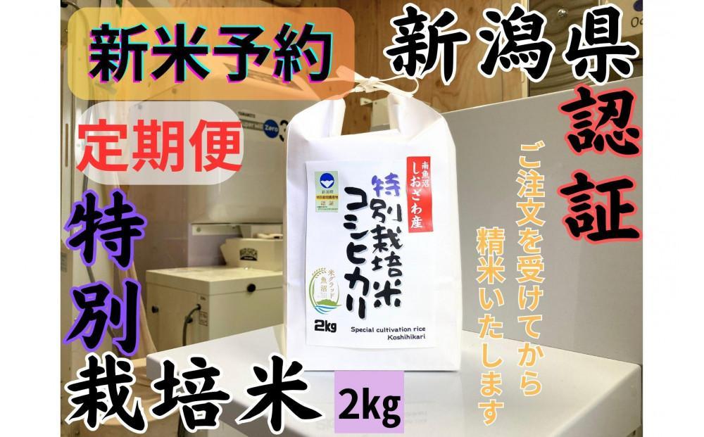【令和8年産・新米予約・定期便】安心安全の新潟県南魚沼産特別栽培米コシヒカリ　2kg×12か月　新潟県認証【2026年10月上旬より1ヶ月以内に順次発送予定】