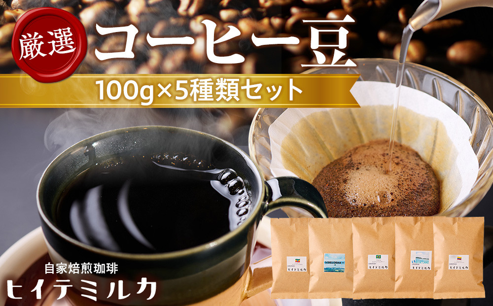 厳選コーヒー豆100g×5種類セット　珈琲&nbsp;珈琲豆&nbsp;コーヒー&nbsp;コーヒー豆&nbsp;