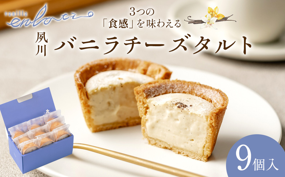 夙川バニラチーズタルト＜9個入＞