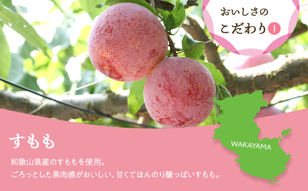 すもも 和歌山県産 ドライフルーツ すもも 20g×6袋 | JTBのふるさと納税サイト