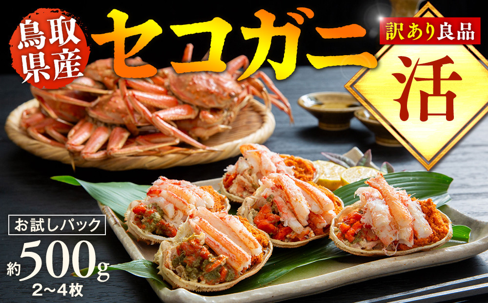 【活】鳥取県産　訳あり　良品セコガニ　お試しパック　約500ｇ（2～4枚）《かに&nbsp;カニ&nbsp;蟹&nbsp;セコガニ》※2025/11/6～2025/12/29に順次発送予定※着日指定不可&nbsp;&nbsp;離島不可（北海道、沖縄本島は配送可能）｜&nbsp;蟹&nbsp;かに&nbsp;せこがに&nbsp;せこ蟹&nbsp;訳あり&nbsp;家庭用&nbsp;鳥取県産&nbsp;北栄町&nbsp;おすすめ&nbsp;人気