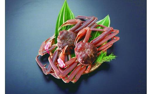 【ボイル】タグ付き松葉ガニ　大2枚※2025年11月上旬～2026年3月下旬頃に順次発送予定｜&nbsp;蟹&nbsp;かに&nbsp;松葉ガニ&nbsp;松葉蟹&nbsp;タグ付き&nbsp;鳥取県産&nbsp;北栄町&nbsp;おすすめ&nbsp;人気