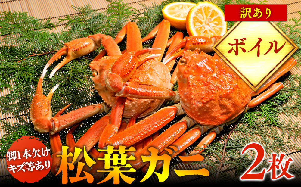 【ボイル】訳あり　松葉ガニ　2枚◇※2025年11月上旬～2026年3月下旬頃に順次発送予定※着日指定不可｜&nbsp;蟹&nbsp;かに&nbsp;松葉ガニ&nbsp;松葉蟹&nbsp;訳あり&nbsp;家庭用&nbsp;鳥取県産&nbsp;北栄町&nbsp;おすすめ&nbsp;人気