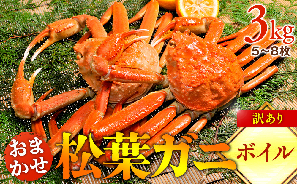 【ボイル】訳あり　松葉ガニおまかせ3kg（5～8枚）※2025年11月上旬～2026年3月下旬頃に順次発送予定※着日指定不可