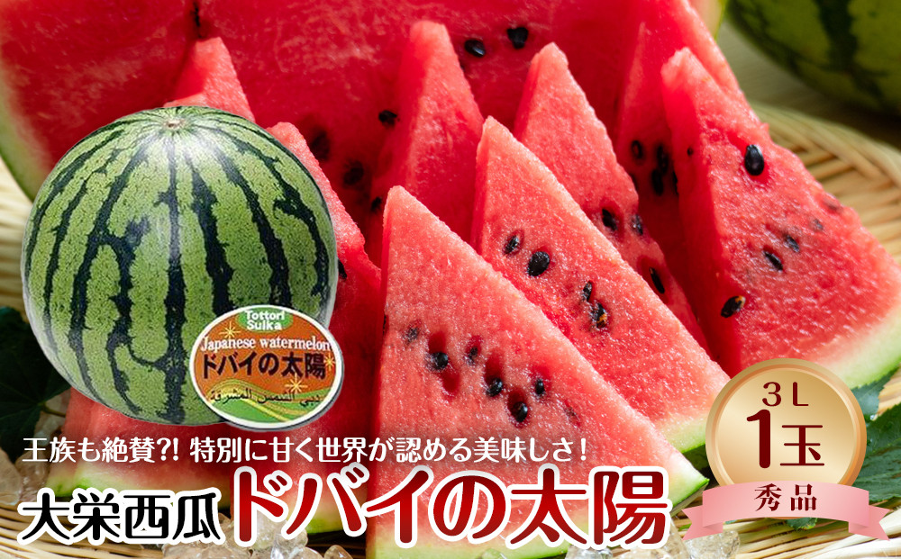 732.【先行予約】【ＪＡ】大栄西瓜「ドバイの太陽」秀3Ｌ×1玉　※着日指定不可 ※離島への配送不可 ※2025年6月中旬頃～7月中旬頃に順次発送予定