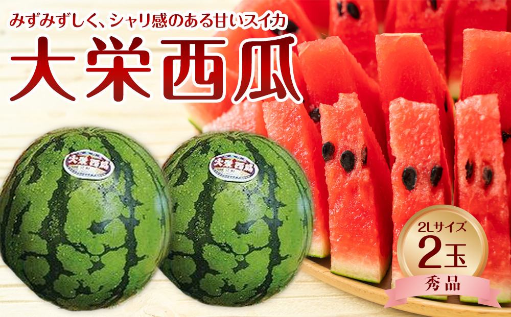 733.【先行予約】【JA】大栄西瓜 秀2L×2玉 ※着日指定不可 ※離島への配送不可 ※2025年6月中旬頃～7月中旬頃に順次発送予定【大栄西瓜 西瓜 すいか スイカ フルーツ 果物 鳥取県 北栄町 おすすめ 人気】