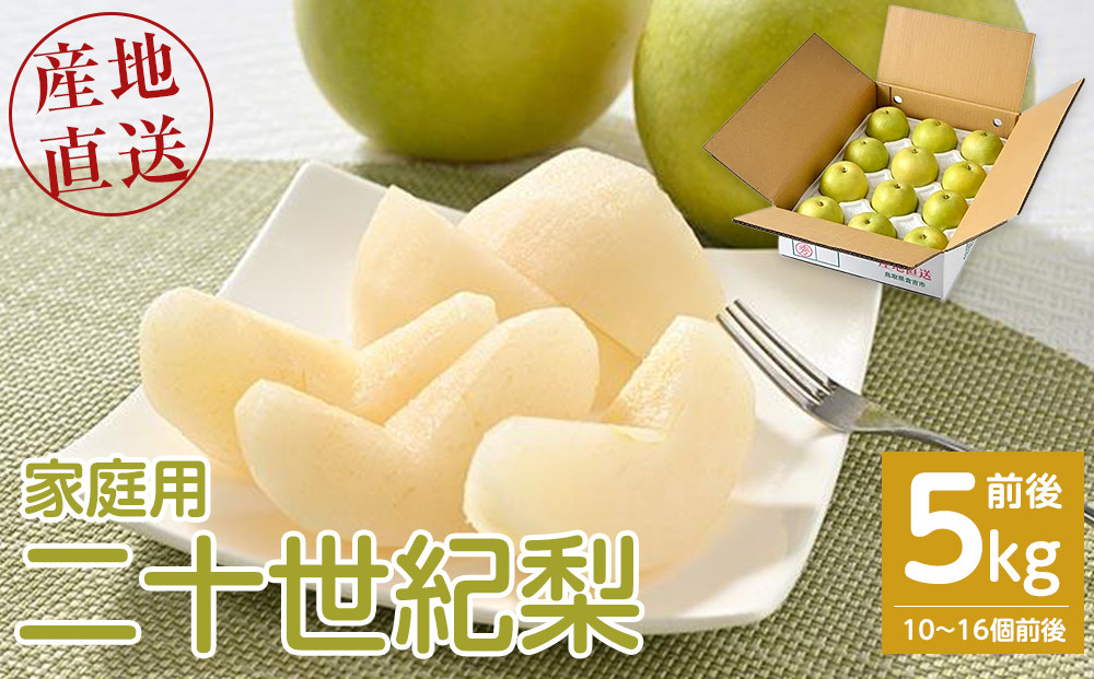 【先行予約】【家庭用】二十世紀梨&nbsp;5kg前後&nbsp;(10個～16個前後)&nbsp;鳥取県産&nbsp;※着日指定不可&nbsp;※2026年8月下旬～9月中旬頃に順次発送予定【梨&nbsp;なし&nbsp;訳あり&nbsp;5kg&nbsp;新鮮&nbsp;2026年&nbsp;令和8年&nbsp;二十世紀&nbsp;鳥取県&nbsp;北栄町&nbsp;おすすめ&nbsp;人気&nbsp;大容量&nbsp;国産&nbsp;送料無料&nbsp;20世紀】