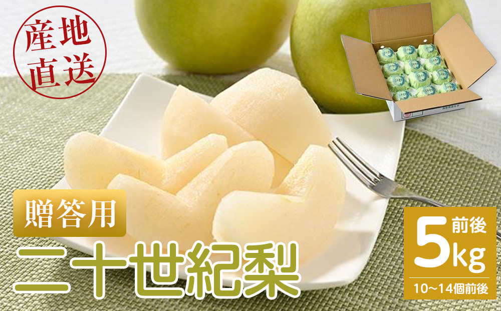 【先行予約】【贈答用】&nbsp;二十世紀梨&nbsp;5kg前後&nbsp;(10個～14個前後)&nbsp;鳥取県産&nbsp;※着日指定不可&nbsp;※2026年8月下旬～9月中旬頃に順次発送予定【梨&nbsp;なし&nbsp;ギフト&nbsp;5kg&nbsp;新鮮&nbsp;2026年&nbsp;令和8年&nbsp;二十世紀&nbsp;鳥取県&nbsp;北栄町&nbsp;おすすめ&nbsp;人気&nbsp;大容量&nbsp;国産&nbsp;送料無料】