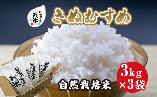 168.日置さん家の自然栽培米「きぬむすめ」精米　3kg×3袋&nbsp;2025年産【米&nbsp;新米&nbsp;ブランド米&nbsp;鳥取県産&nbsp;ごはん&nbsp;白米&nbsp;おにぎり&nbsp;弁当&nbsp;2025年産&nbsp;きぬむすめ&nbsp;こめ&nbsp;鳥取&nbsp;国産】