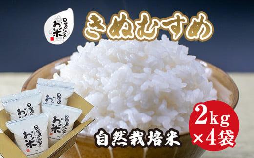 173.日置さん家の自然栽培米「きぬむすめ」無洗米　2kg×4袋&nbsp;2025年産【米&nbsp;新米&nbsp;ブランド米&nbsp;鳥取県産&nbsp;ごはん&nbsp;白米&nbsp;おにぎり&nbsp;弁当&nbsp;2025年産&nbsp;きぬむすめ&nbsp;こめ&nbsp;鳥取&nbsp;国産】
