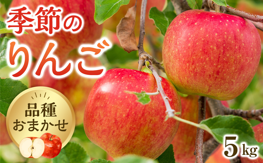 【品種はおまかせ】季節のりんご&nbsp;5kg箱&nbsp;※2025年10月上旬～10月下旬頃に順次発送予定【りんご&nbsp;林檎&nbsp;フルーツ&nbsp;果物&nbsp;新鮮&nbsp;先行予約&nbsp;おまかせ&nbsp;季節&nbsp;鳥取県&nbsp;北栄町&nbsp;おすすめ&nbsp;人気】
