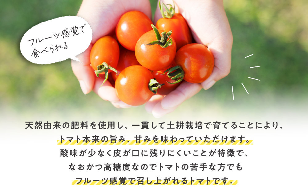 鬼のとまと 200g × 12袋 ※2026年6月上旬～10月下旬頃に順次発送予定