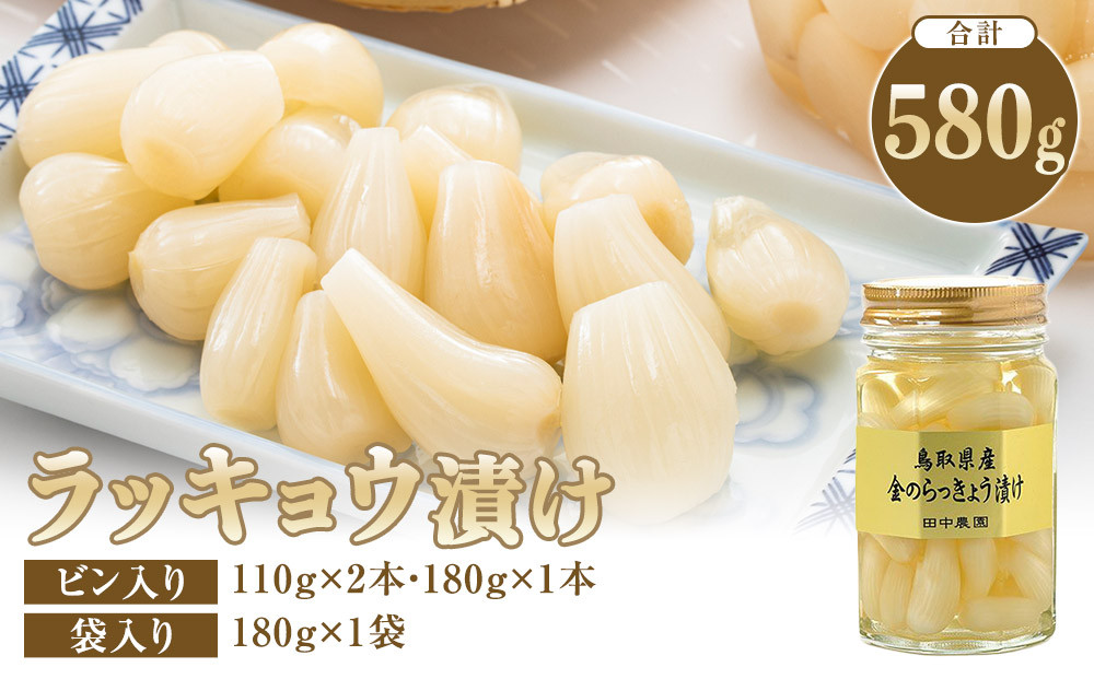 ラッキョウ漬け　（ビン入り：110g×2本・180g×1本　袋入り：180g×1袋）【らっきょう&nbsp;らっきょ&nbsp;ご飯&nbsp;カレー&nbsp;セット商品&nbsp;鳥取県産&nbsp;北栄町&nbsp;おすすめ&nbsp;人気&nbsp;新鮮&nbsp;パリ&nbsp;パリッ】