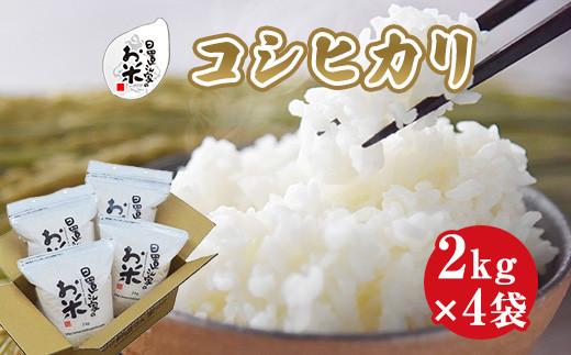 153.日置さん家のお米「コシヒカリ」2kg×4袋【精米・2025年産】【米&nbsp;新米&nbsp;ブランド米&nbsp;鳥取県産&nbsp;ごはん&nbsp;白米&nbsp;おにぎり&nbsp;弁当&nbsp;2025年産&nbsp;こしひかり&nbsp;コシヒカリ&nbsp;こめ&nbsp;鳥取&nbsp;国産】