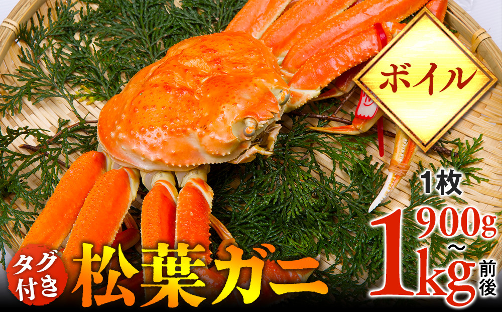 【ボイル】タグ付き松葉ガニ　特大1枚（900g～1kg前後）【着日指定不可】※2025年11月上旬～2026年3月下旬頃に順次発送予定《かに&nbsp;カニ&nbsp;蟹》|蟹&nbsp;かに&nbsp;松葉ガニ&nbsp;松葉蟹&nbsp;鳥取県産&nbsp;北栄町&nbsp;おすすめ&nbsp;人気