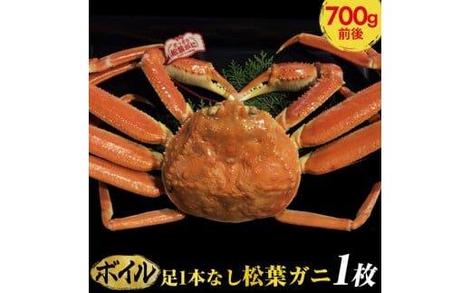 668.【ボイル】足1本なし　訳あり　松葉ガニ　中1枚（700g前後）【着日指定不可】※2025年11月上旬～2026年3月下旬頃に順次発送予定《かに カニ 蟹》